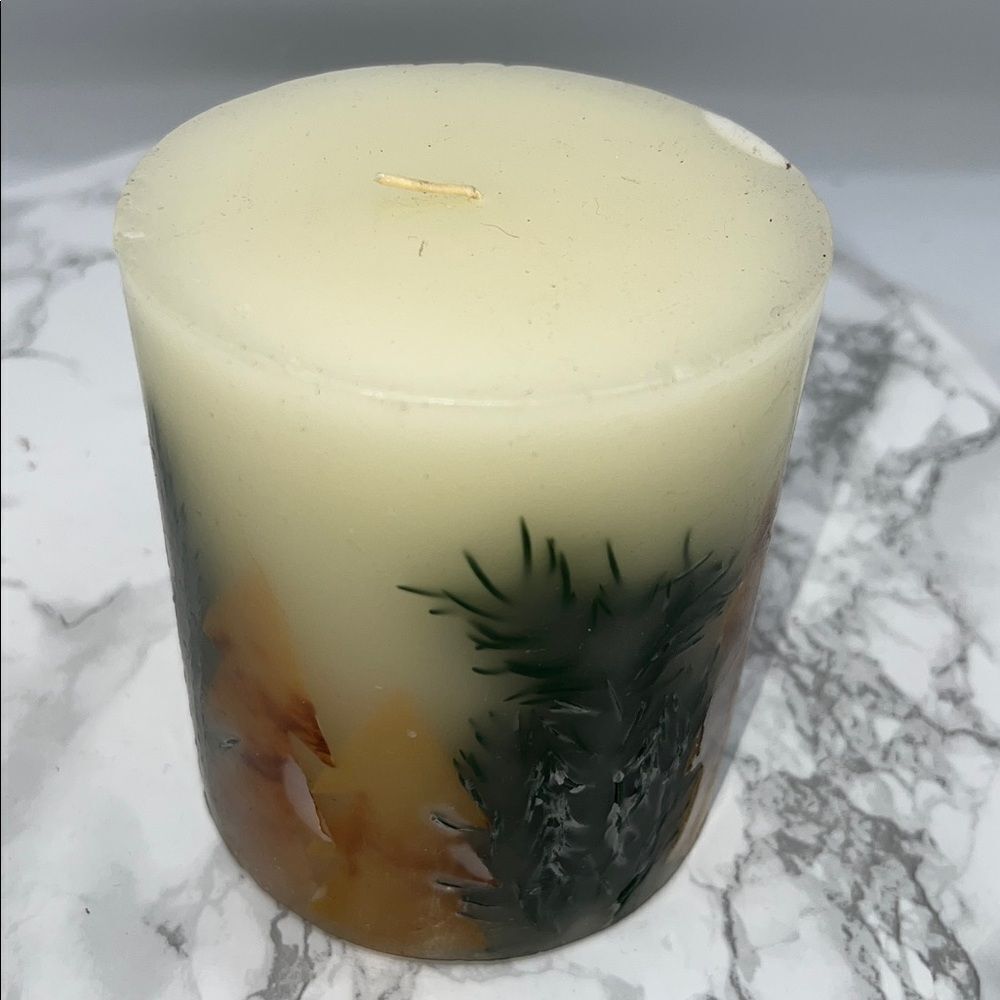 POTTERY BARN Nordic Spruce Botanical Candle-60 Hour burn time